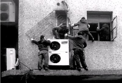 白癜风患者种植芦荟有什么效果?“开云电竞”(图3) 开云电竞app下载安装