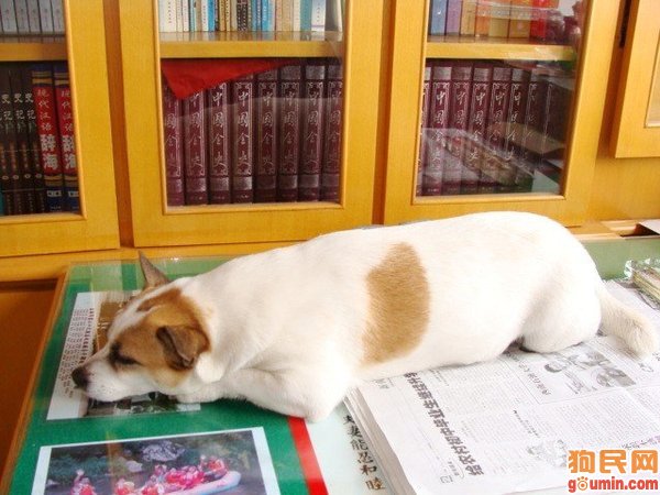 开云电竞app下载安装