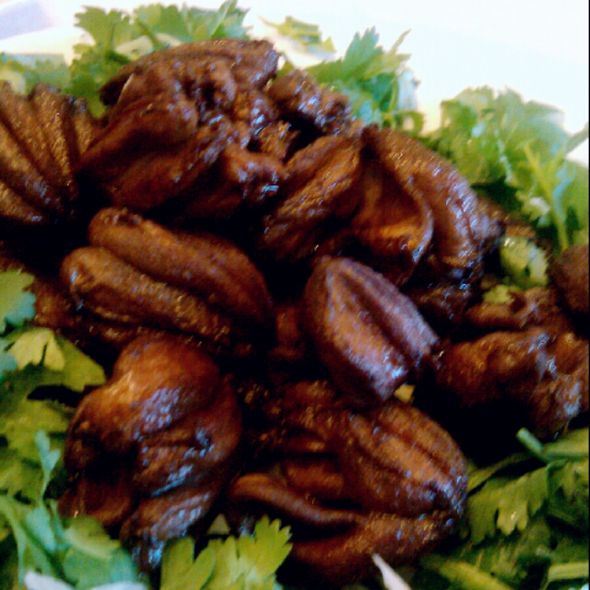 开云电竞app下载安装