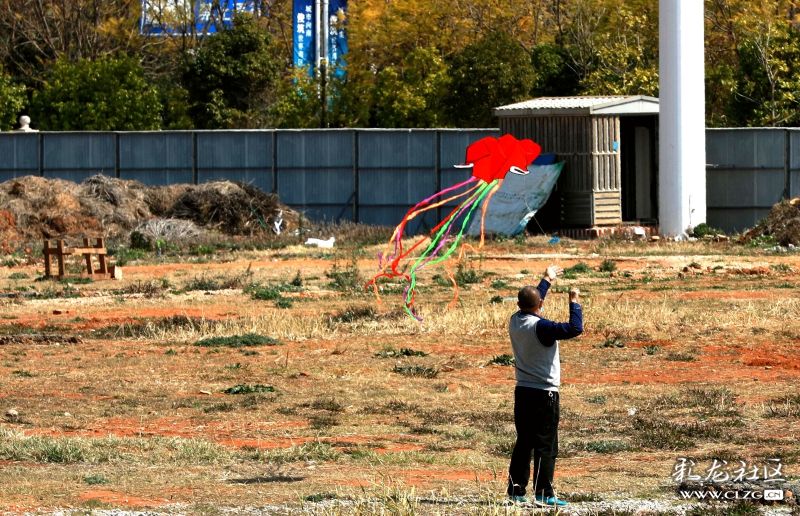 开云电竞app下载安装