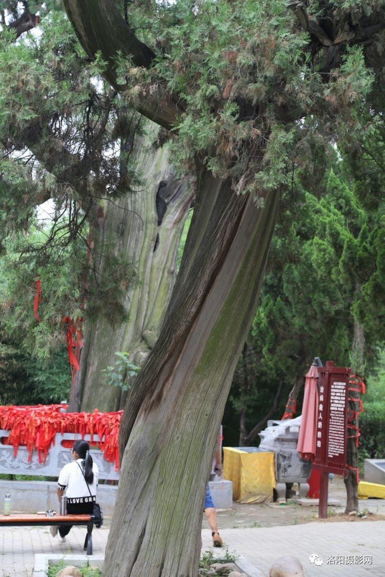 开云电竞app下载安装_医疗器械生产销售或能全程追溯(图3) 开云电竞app下载安装