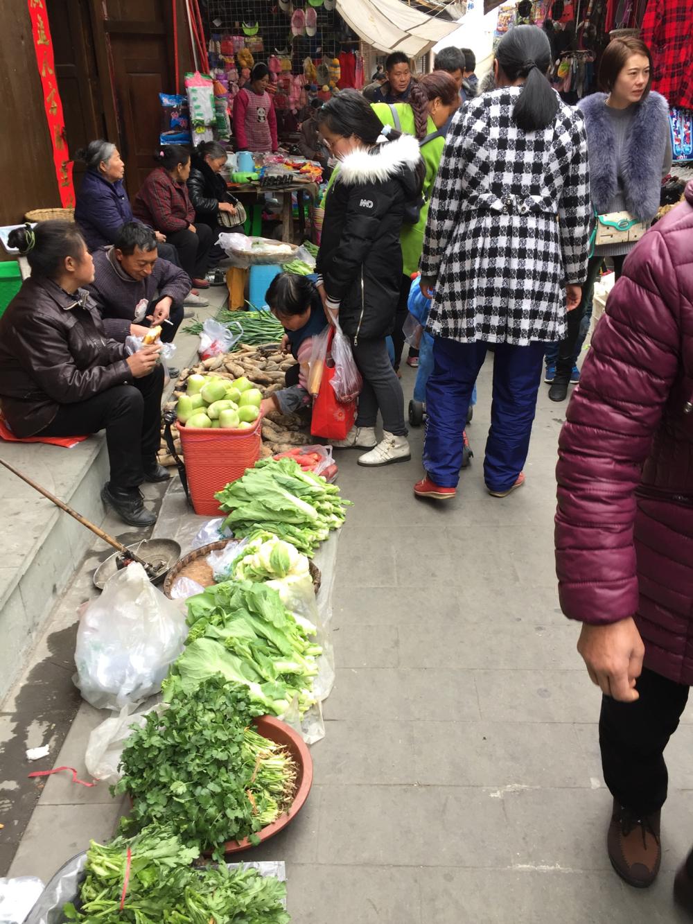 开云电竞app下载安装