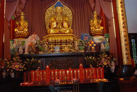 开云电竞官网-“六味地黄”是个大家族(图1) 开云电竞app下载安装