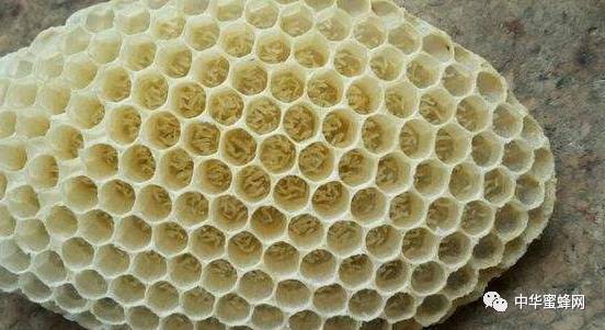 ‘开云电竞app下载安装’花费万元招聘助理,这位华西医生厉害啦!(图3) 开云电竞app下载安装