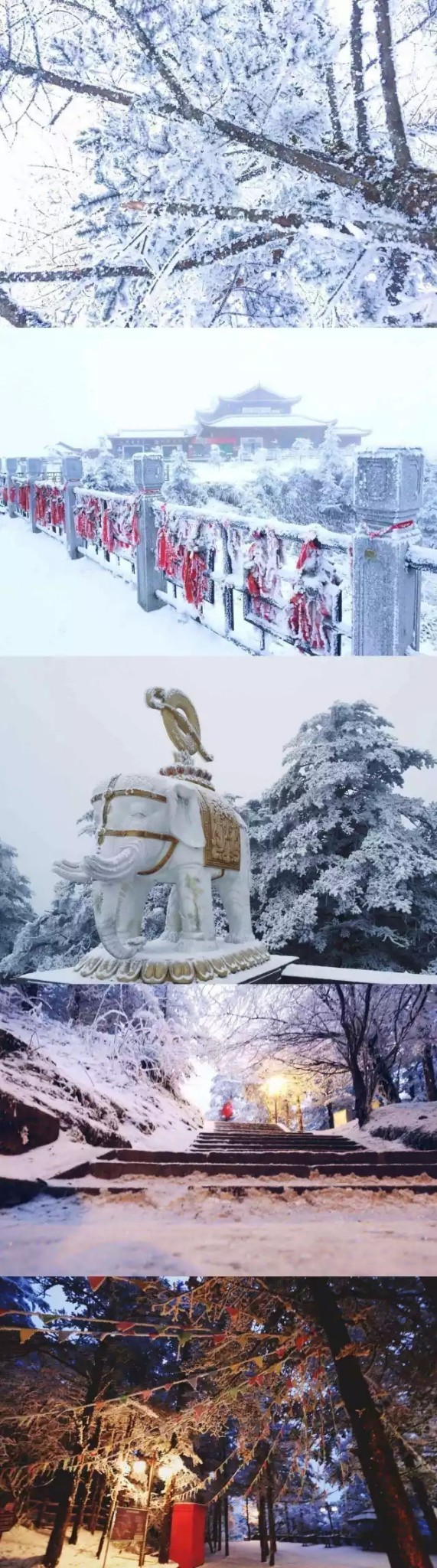 长沙实行新办法让八所职业学校不再为缺编发愁-开云电竞(图1) 开云电竞