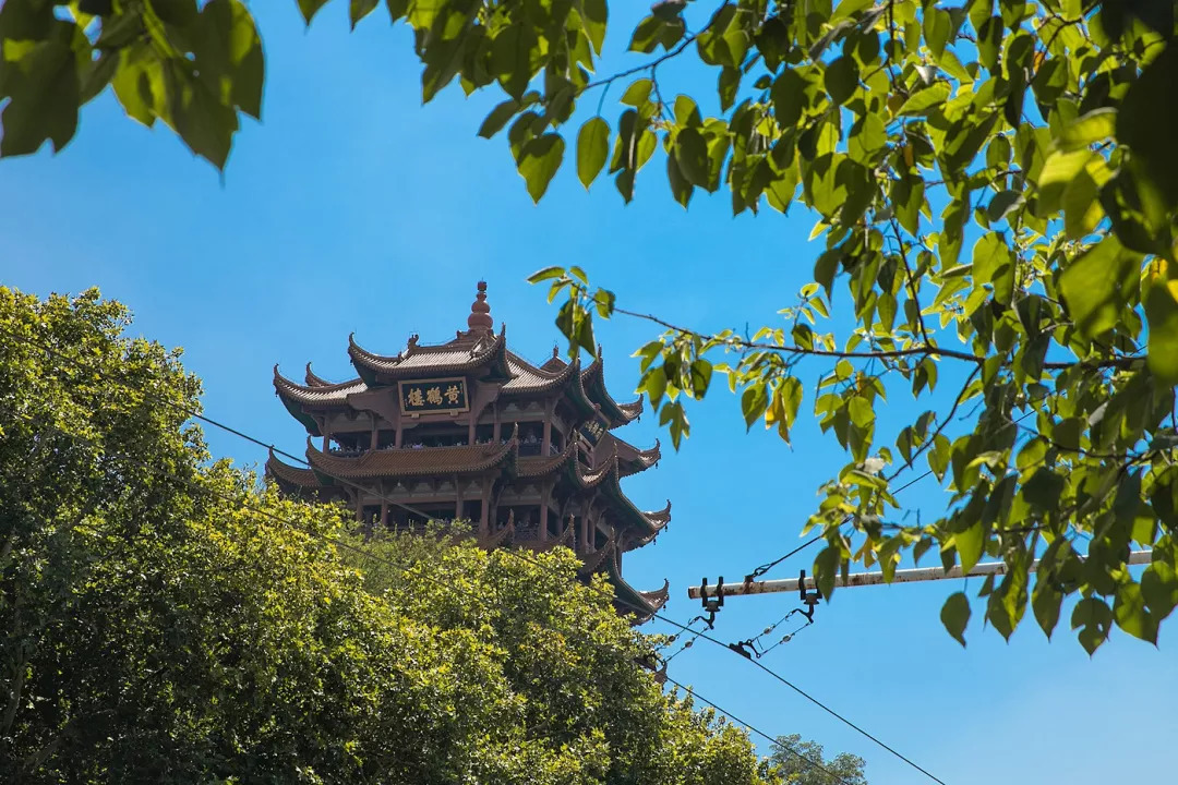 患者百度质疑美国医生先上百度再看医生对不对“开云电竞app下载安装”(图2) 开云电竞