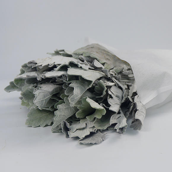 四川西南航空职院获省人才培养工作评估专家组好评【开云电竞app下载安装】(图1) 开云电竞app下载安装