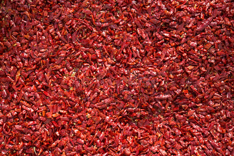 “开云电竞官网”江苏省南通市紫琅职院与地方经济“同频共振”(图1) 开云电竞app下载安装