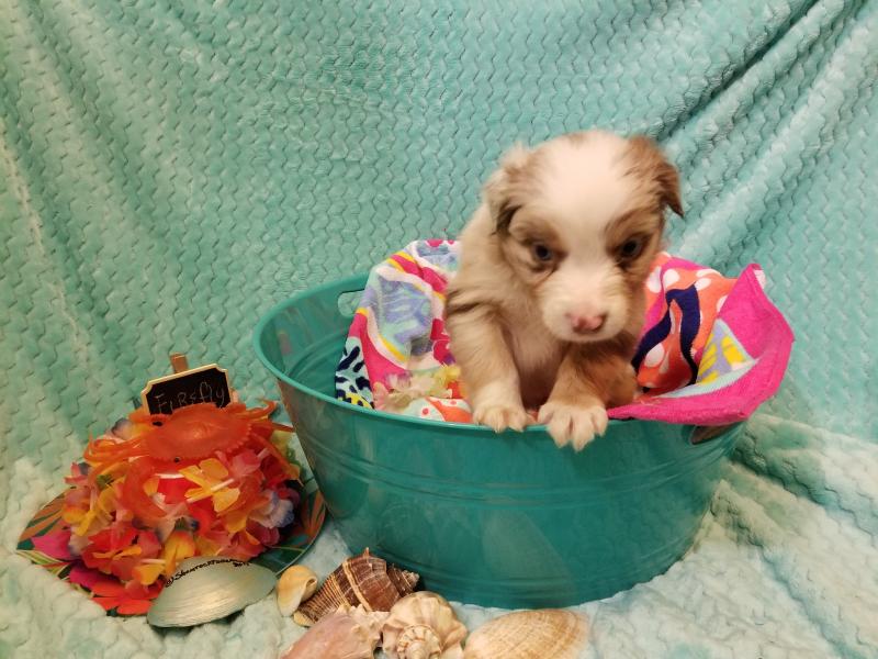 开云电竞官网:重庆:民办中职校10学生须配一电脑(图3) 开云电竞app下载安装