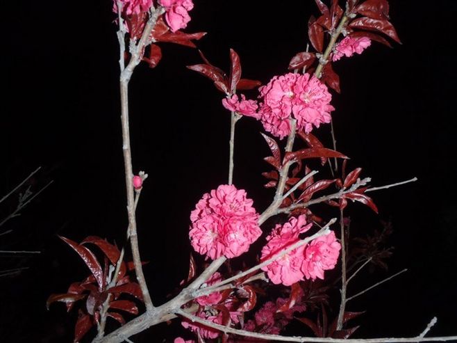 国务院批准下调部分药品进口关税_开云电竞官网(图2) 开云电竞