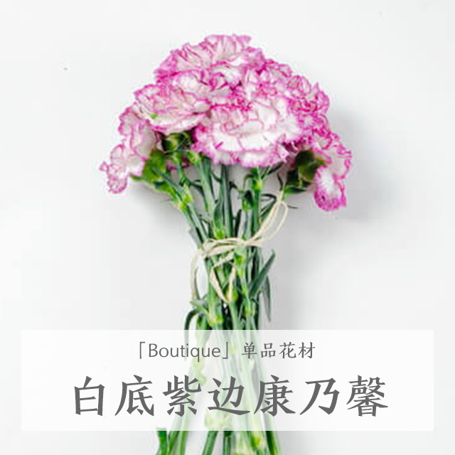 中风后遗症难破?试试“靳三针”|开云电竞官网(图3) 开云电竞