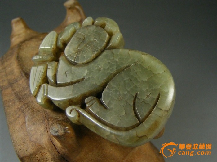 抱团破解产教难融合,湖北现代农业职教集团助力打造“农业鄂军”|开云电竞官网(图3) 开云电竞