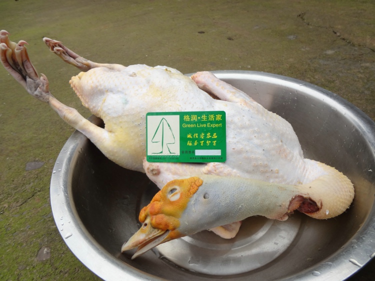 “开云电竞app下载安装”茅台爽约销售好时节假承诺令人唏嘘(图3) 开云电竞app下载安装