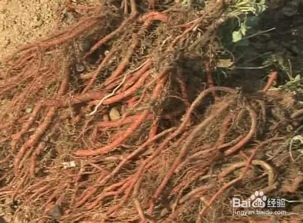 开云电竞app下载安装