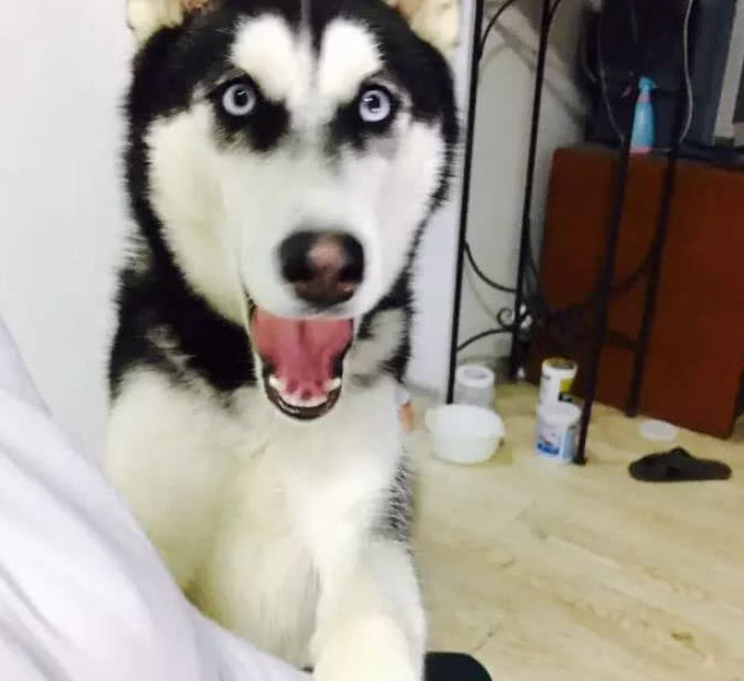 开云电竞app下载安装