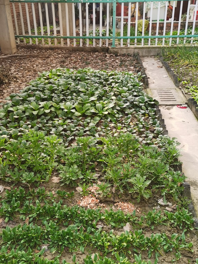 【开云电竞官网】一日三餐怎样吃更营养 要按能量分配(图3) 开云电竞官网