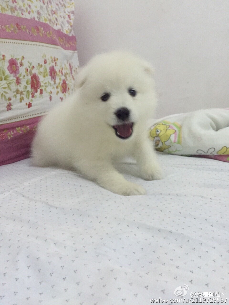 在教育系统学习贯彻胡锦涛总书记在全国优秀教师代表座谈会重要讲话精神座谈会上的讲话_开云电竞app下载安装(图1) 开云电竞app下载安装