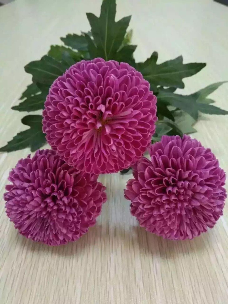 开云电竞app下载安装