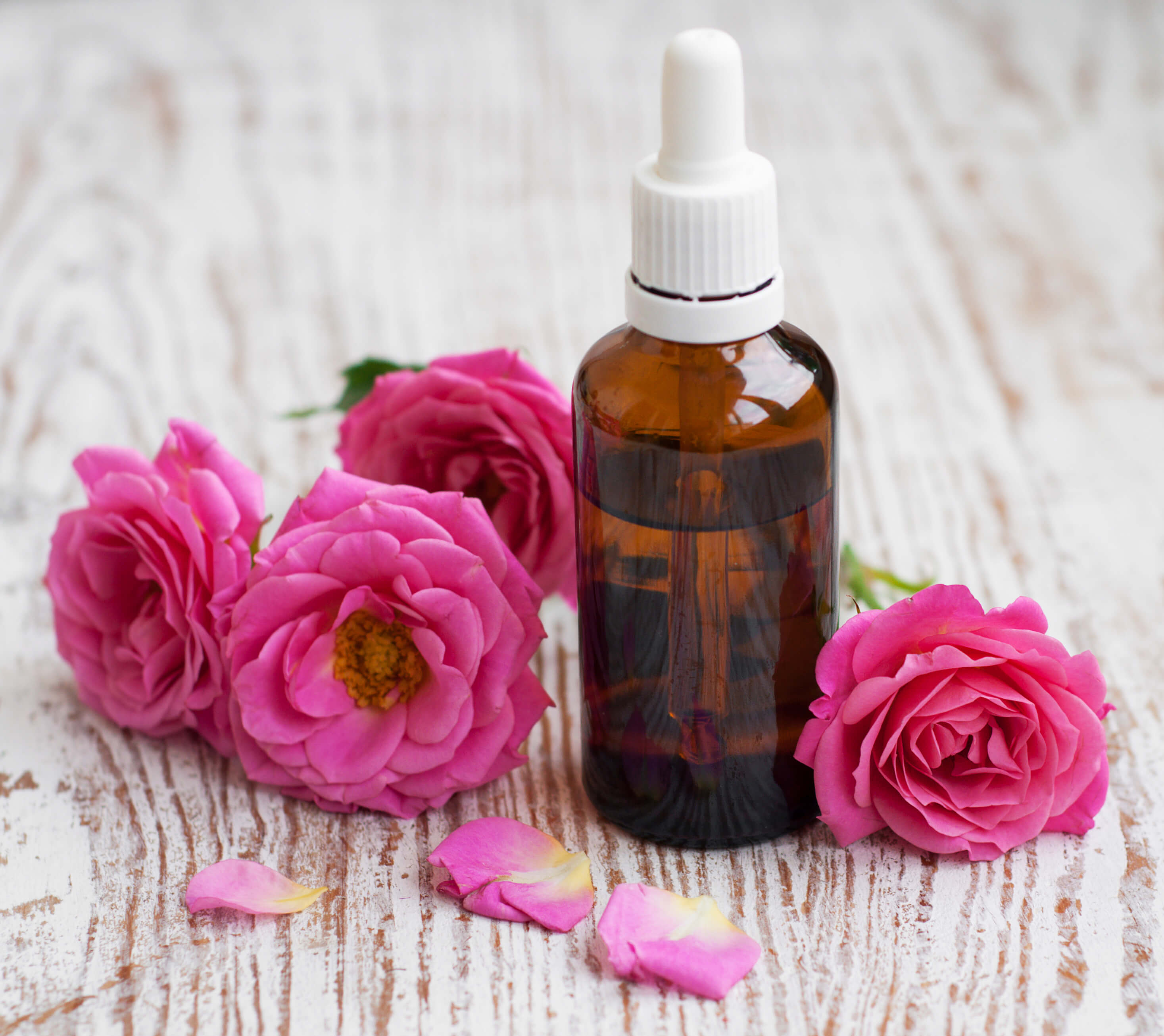 开云电竞app下载安装