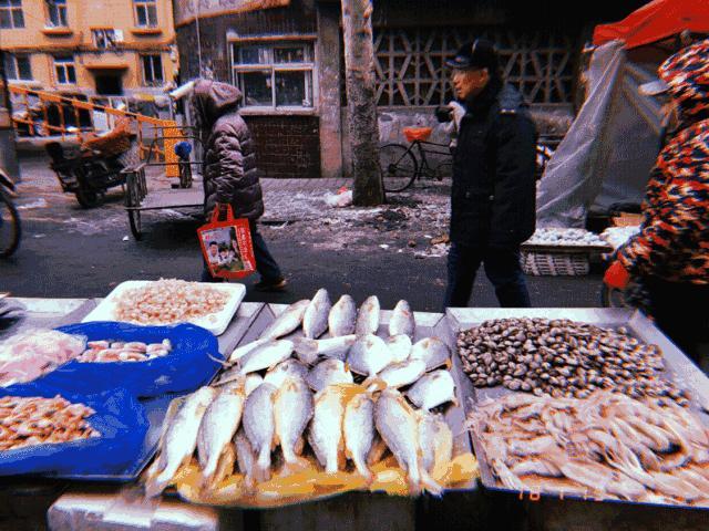 开云电竞app下载安装