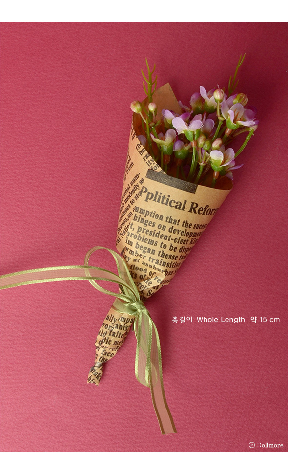 开云电竞app下载安装