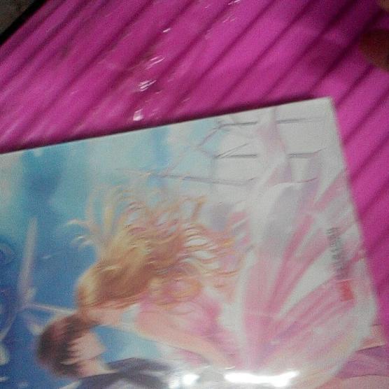 开云电竞app下载安装|三七花泡水喝的功效 生活中喝花茶轻松降火气(图3) 开云电竞