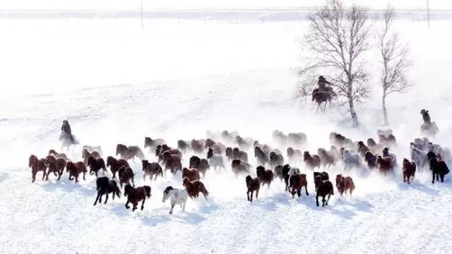 开云电竞_如何才能诊治消除白癜风?(图4) 开云电竞