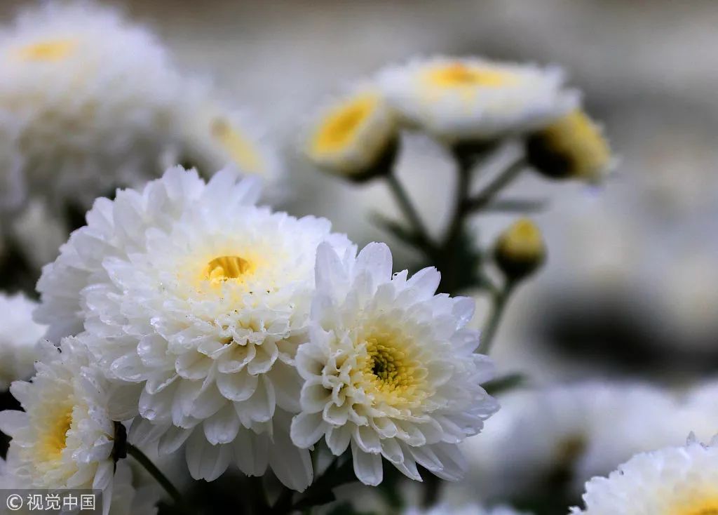 集安市推动旅游职业教育产教融合【开云电竞app下载安装】(图1) 开云电竞