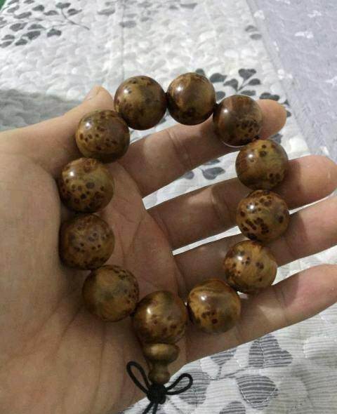 开云电竞app下载安装