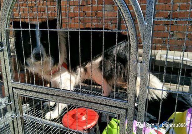 开云电竞app下载安装