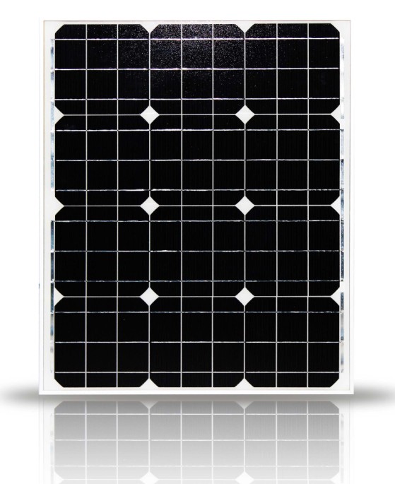 ‘开云电竞官网’H7N9禽流感全国确诊91例(图2) 开云电竞