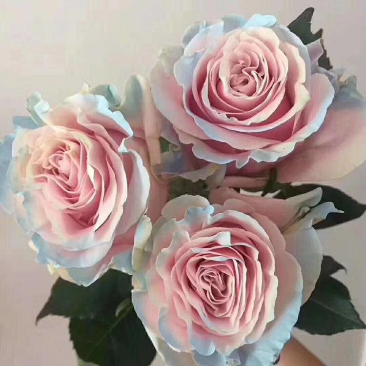 开云电竞官网|如何治疗脂肪肝(图1) 开云电竞官网