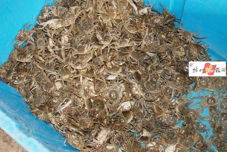 开云电竞app下载安装