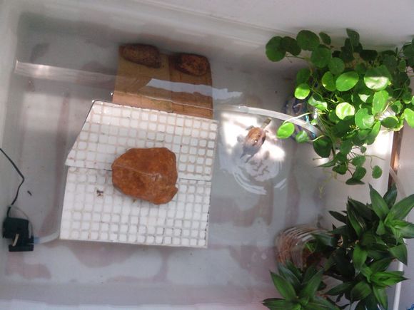 【开云电竞】海南大范围聘中职“三特”教师财政给予补助(图2) 开云电竞官网