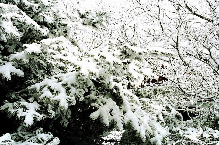 开云电竞app下载安装