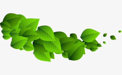 ‘开云电竞app下载安装’制药公司竞相研制寨卡病毒疫苗(图1) 开云电竞app下载安装