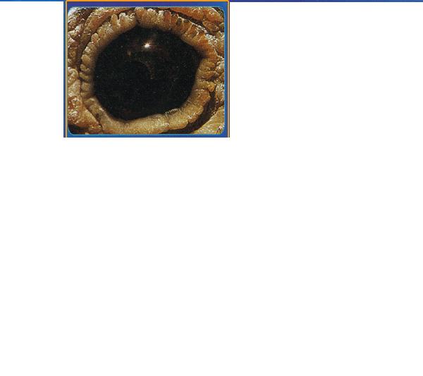 福建:中职校筹办三年到期未达要求不得招生-开云电竞官网(图2) 开云电竞官网