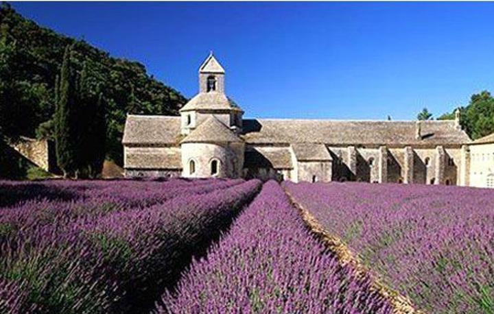 开云电竞官网:北京多高职校引进德国教育项目证书被外企认可(图2) 开云电竞