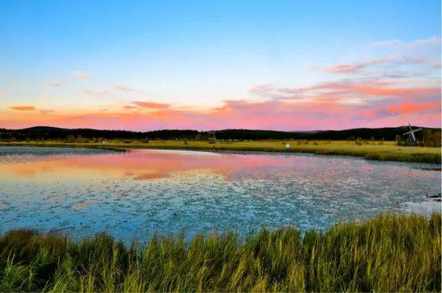 中组部人才局局长徐家新到江西渝州科技职业学院考察调研|开云电竞(图1) 开云电竞官网