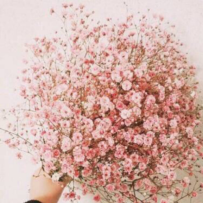 更衣柜的清洗和消毒‘开云电竞’(图2) 开云电竞官网