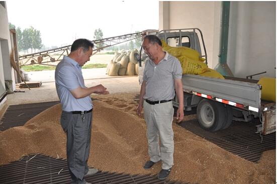 开云电竞app下载安装