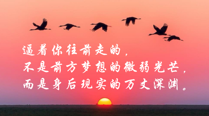 开云电竞官网